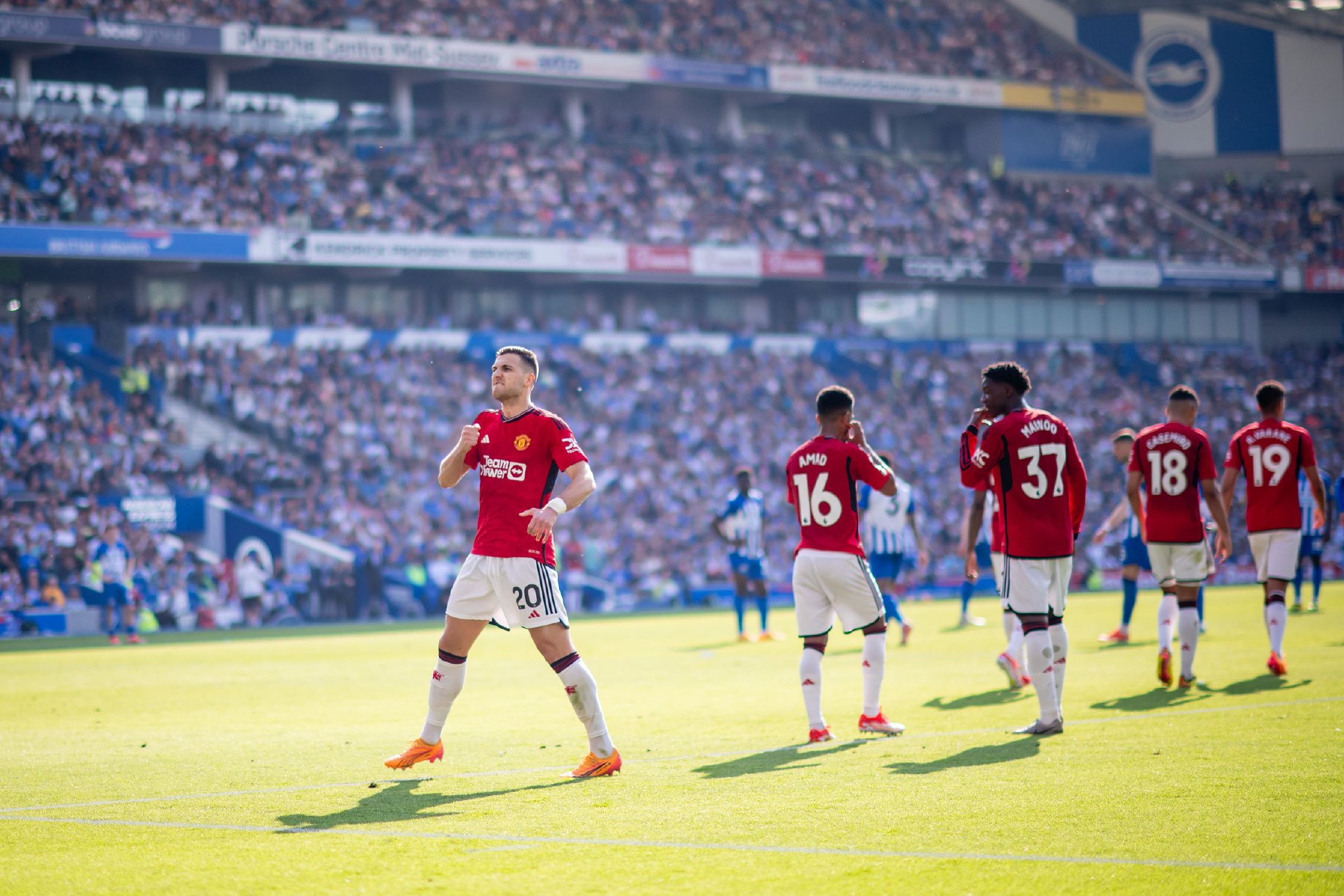 这显然与马 这显然与马