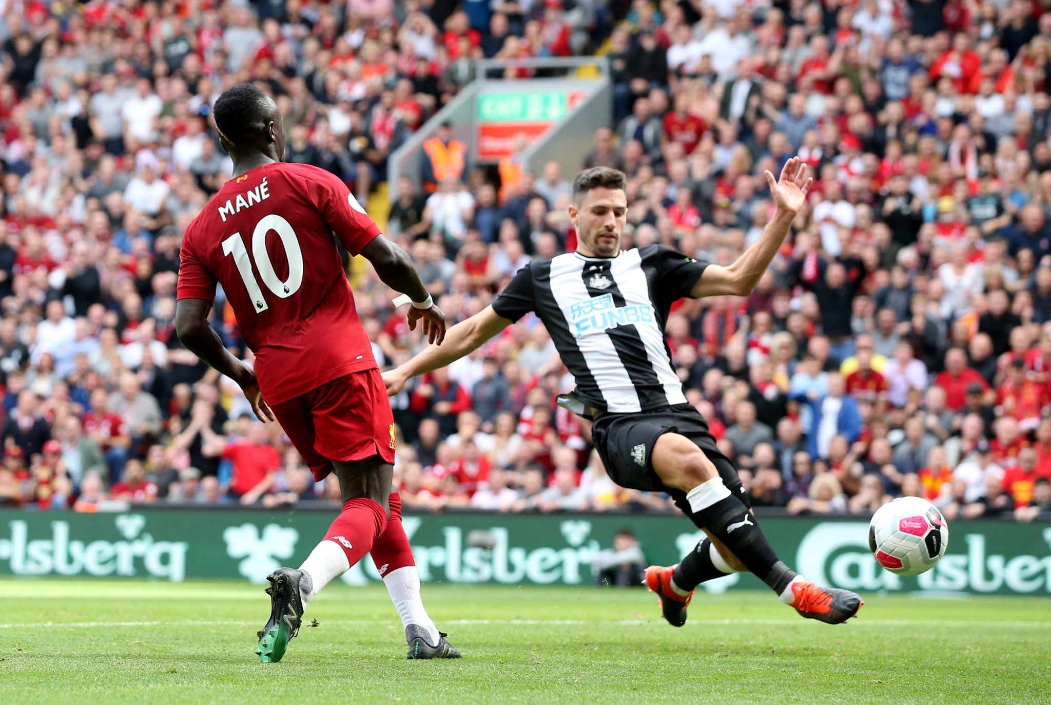 的青春纪念 的青春纪念